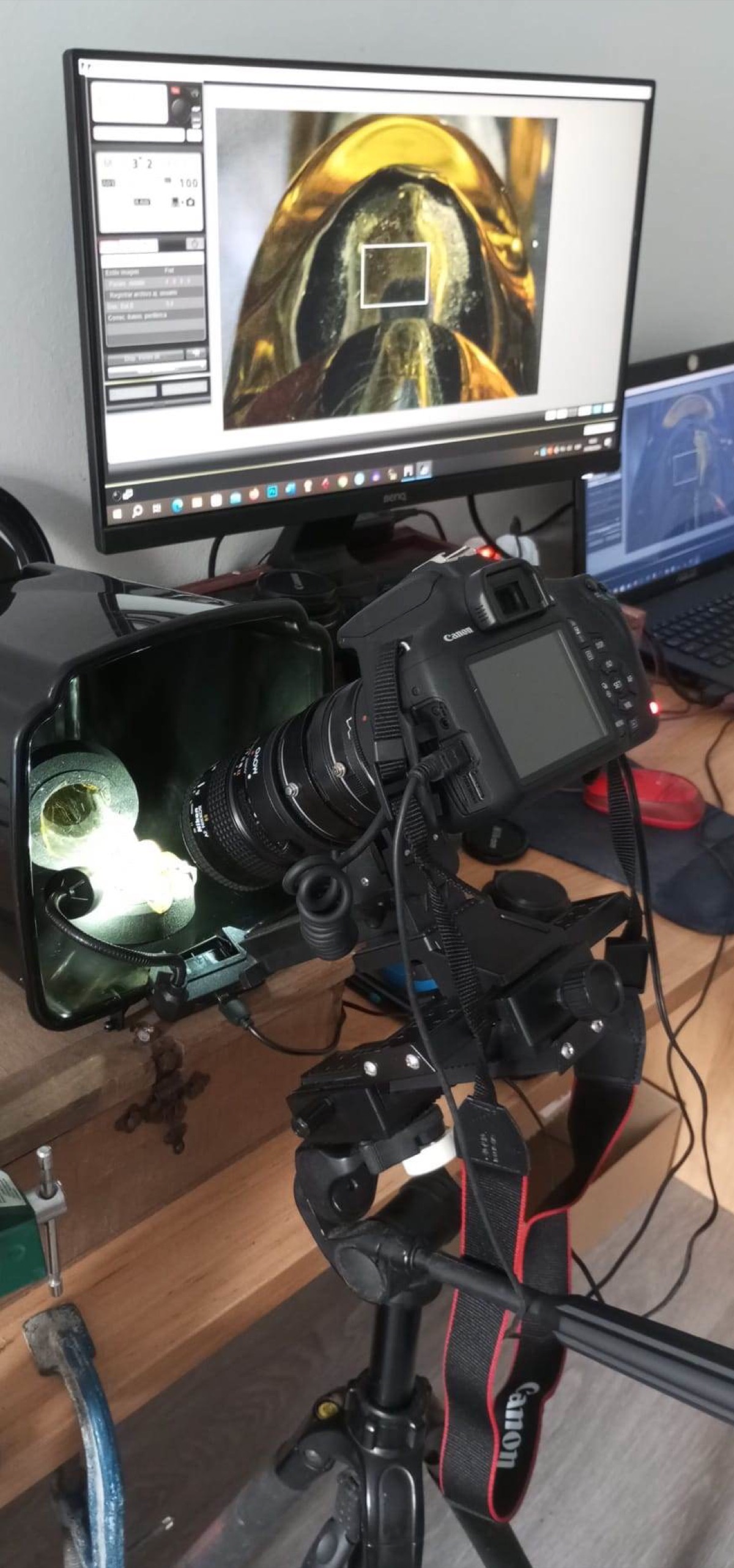 Equipo fotográfico de Paco Orejón para macrofotografía experimental