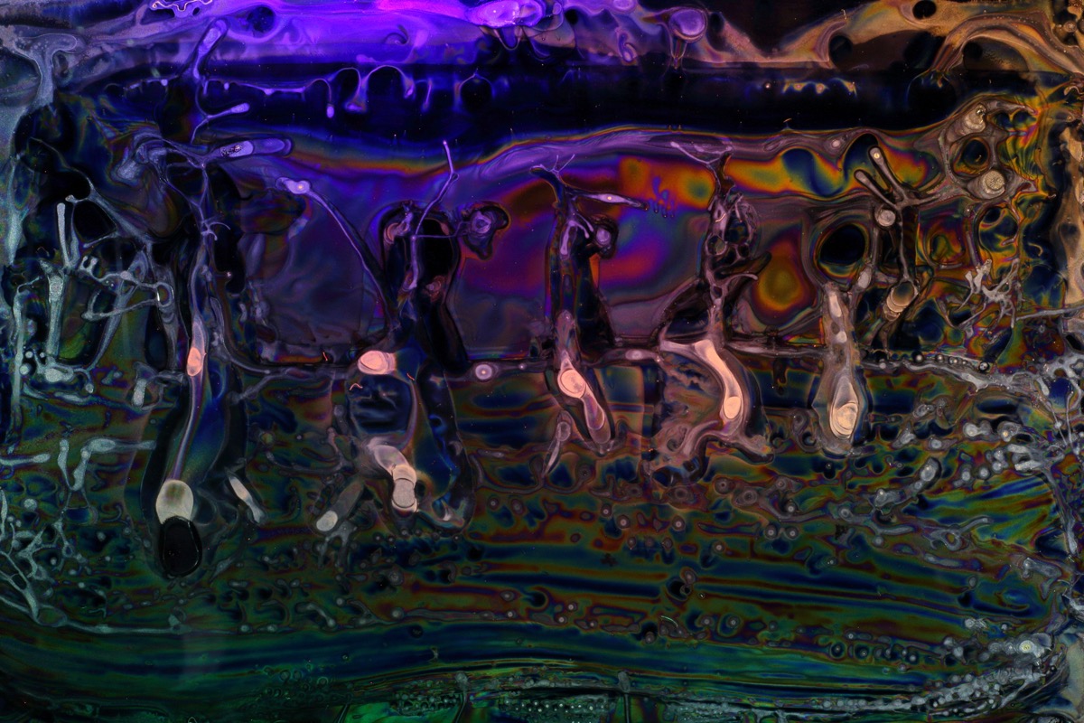 Recolectores — macrofotografía